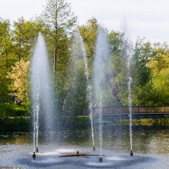 Traumhafte Eisbecher im Café Schöne Zeiten - Das Stadtcafé